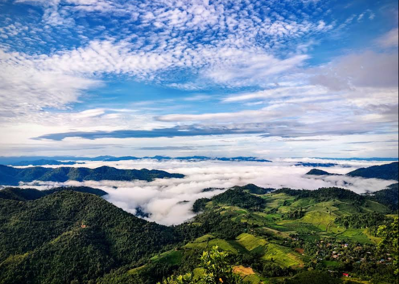 Phu Toei National Park – Swannatham Thi Sangsawan Nai Suphan Buri Thi Phuak Khon Rak Thammachat Tong Pai Tham