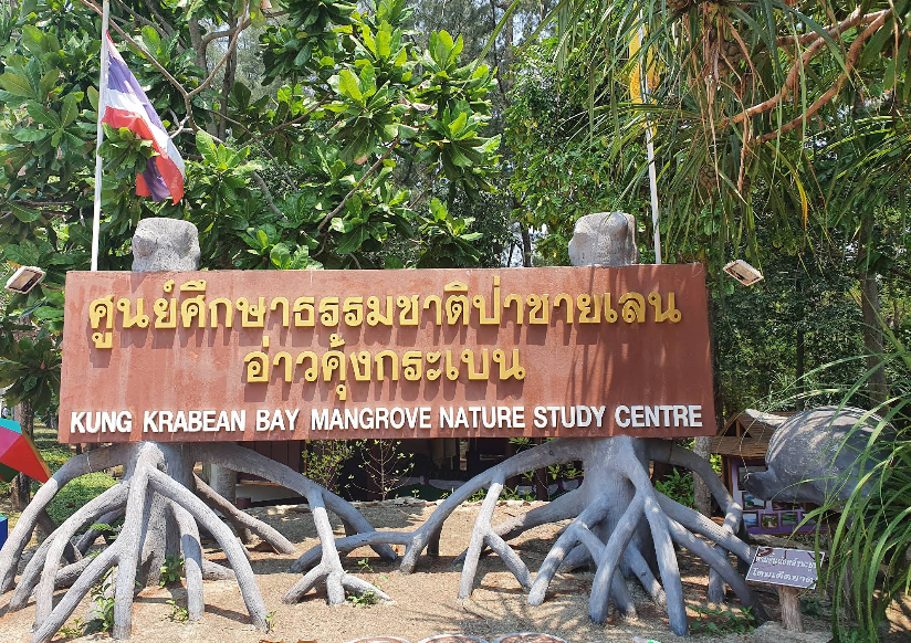Ao Khung Krabaen Bay Mangrove Forest : Suan Pa Thammachaat Thi Ngaam Thi Sut Nai Chanthaburi