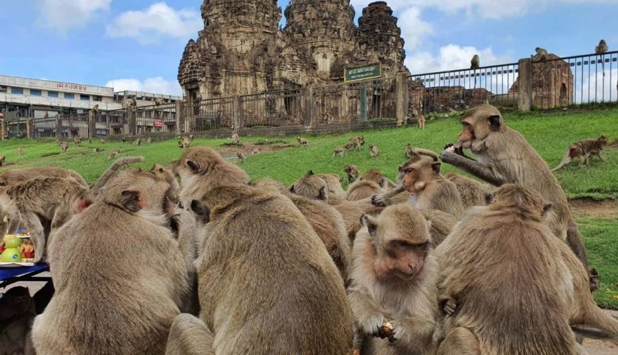 Thang Teeo Mueang Boran Lop Buri : Tam Roi Samai Boran Nai Klaang Khwam Than Samai