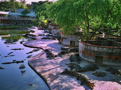 Samut Prakan Crocodile Farm and Zoo : Lok buaya lae satwa an mee chiwit nai Thai