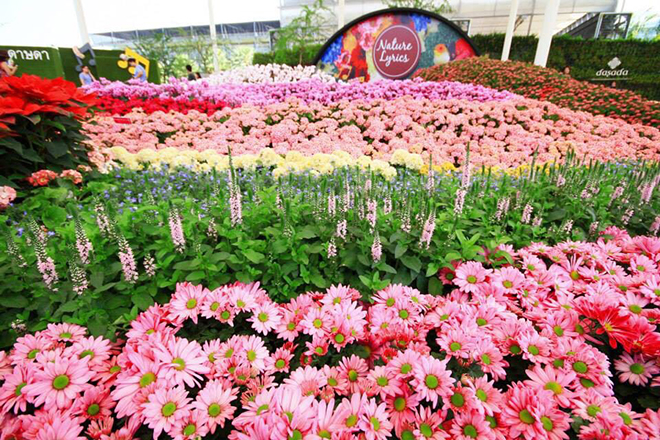 Sawan dokmai Dassada Gallery Flower Garden